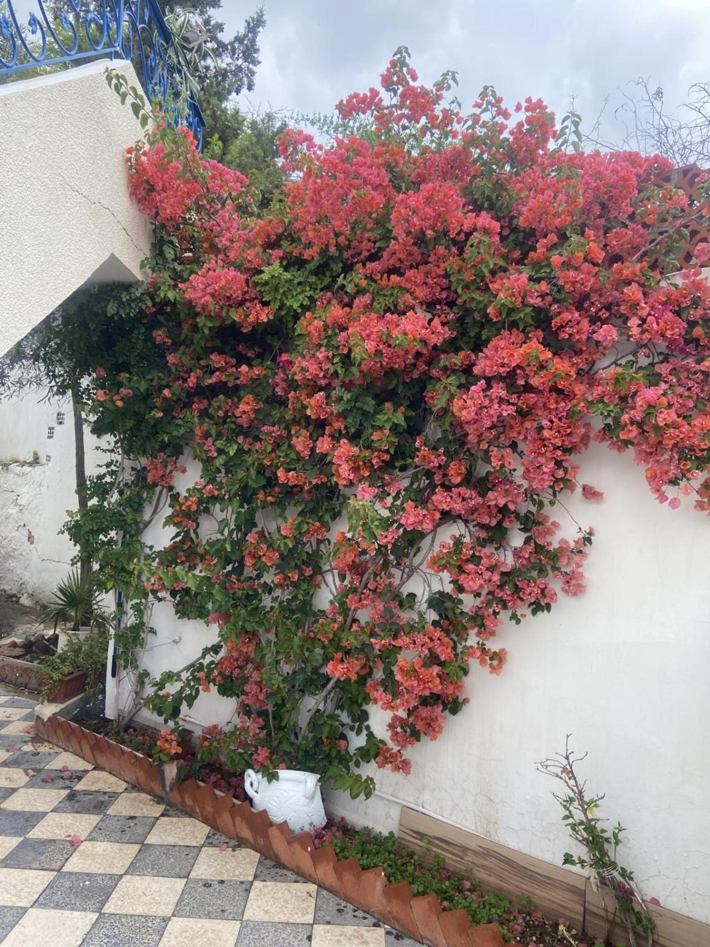 Maison A El Omrane . Tunis Exterior photo